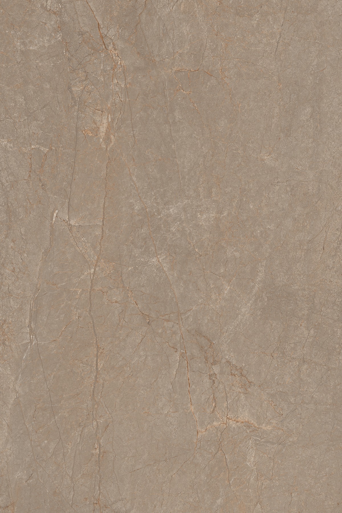 MOLIERE BROWN 180 ENGRAVO MT V2