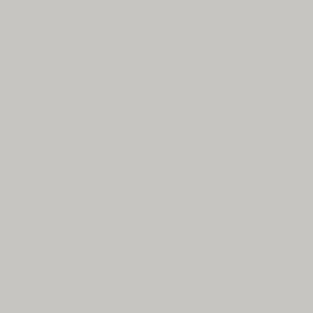 NEO PLAIN GREY