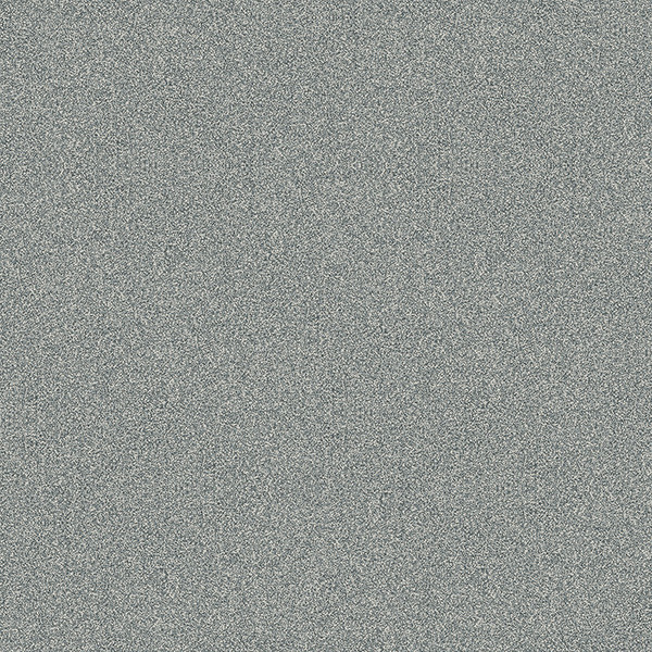 POLARIS GRIS