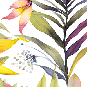 DAZZLE WHITE PARADISE DECOR