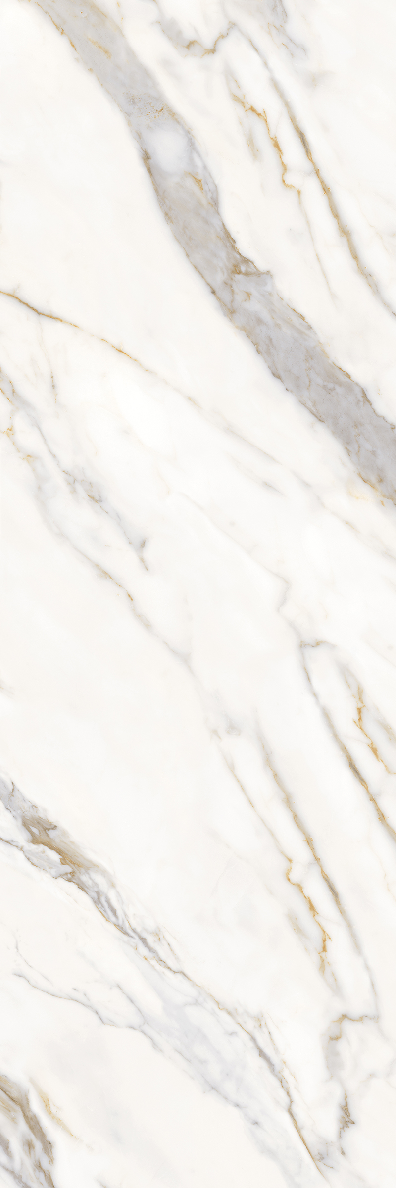 STATUARIO GOLD 24 V2