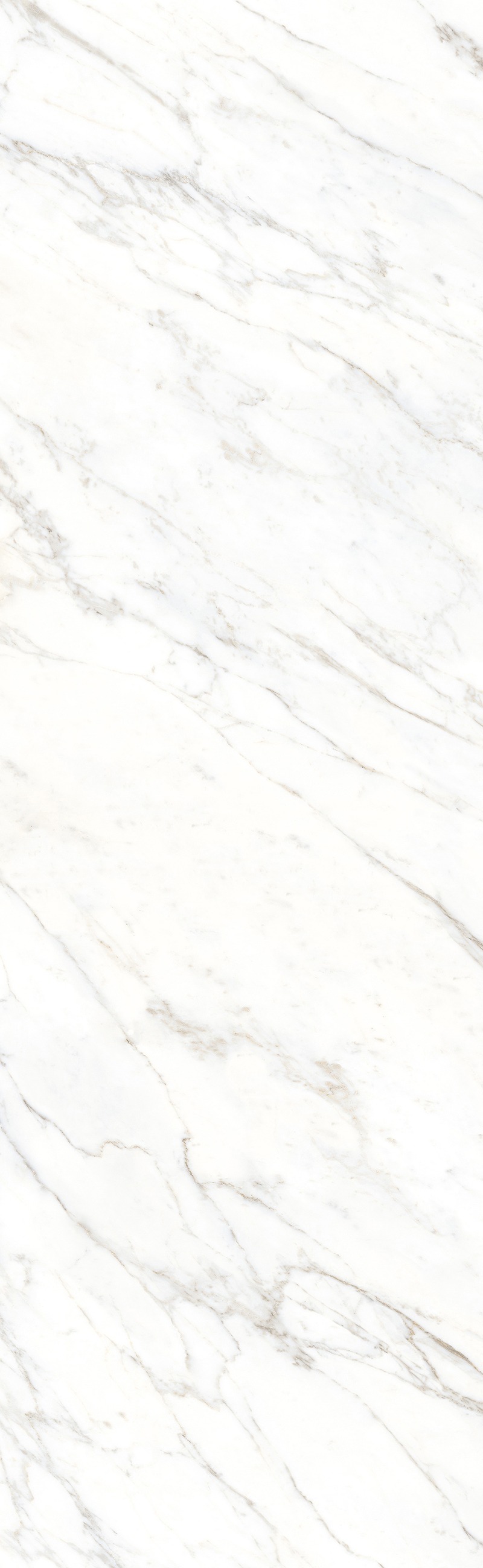 CARARA WHITE 26 QUILL V2