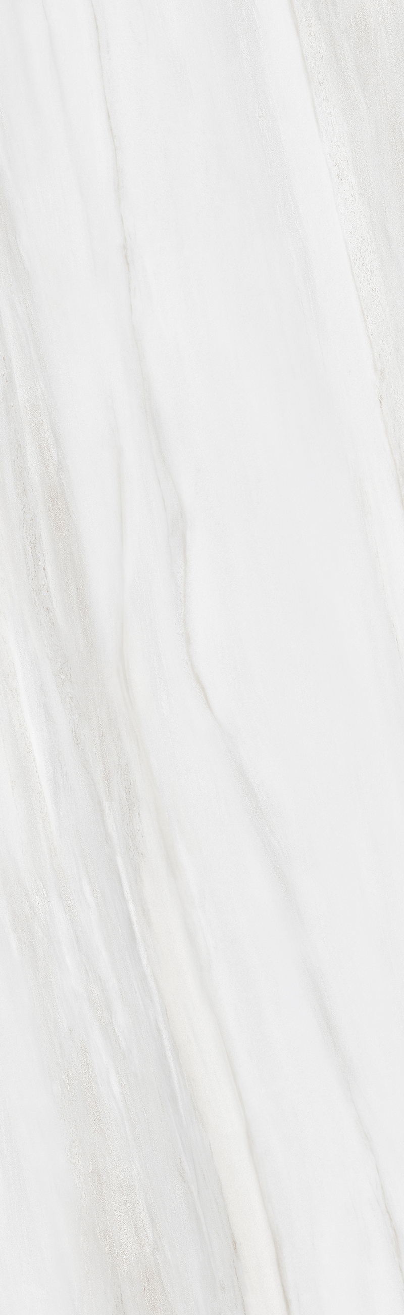 PALISSANDRO BIANCO 26 QUILL V3