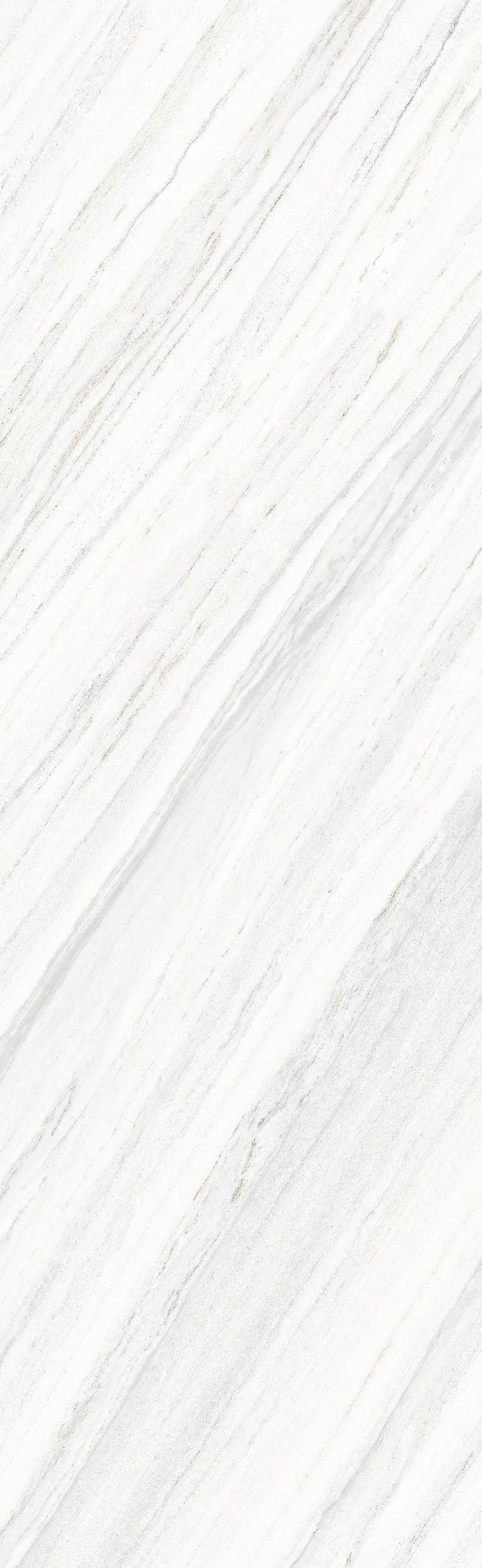 NEVOSA WHITE 26 QUILL V2