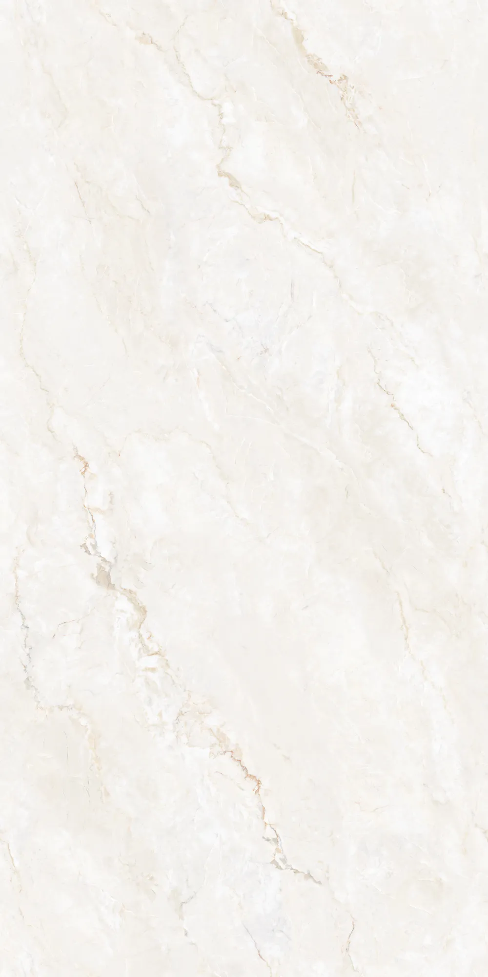 CITADEL IVORY 240 Slab for Wall, Floor — Somany MAX LINE collection
