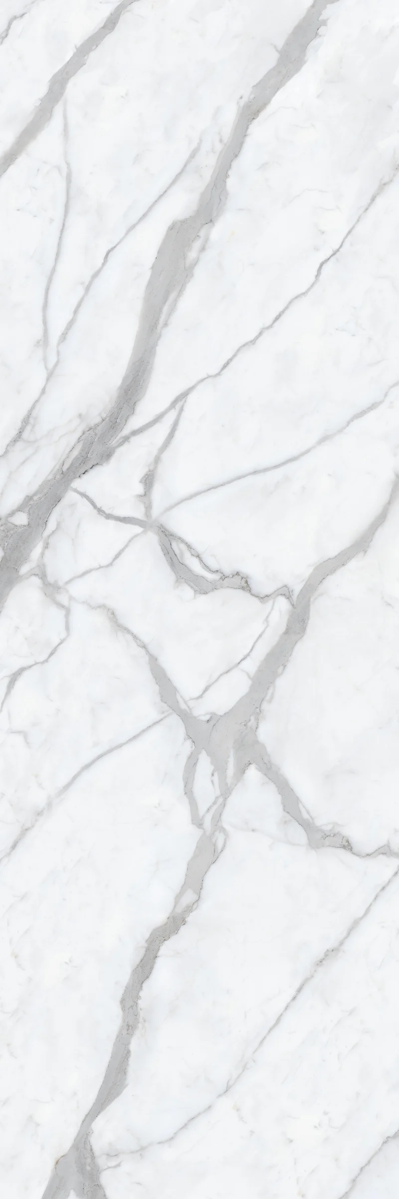 ARBASCATO WHITE 24 CARVO V2 tiles for Counter Top, Wall, Floor
