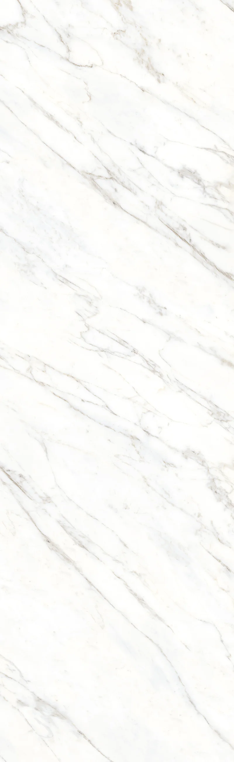 CARARA WHITE RIGA 26 SHAPE V2