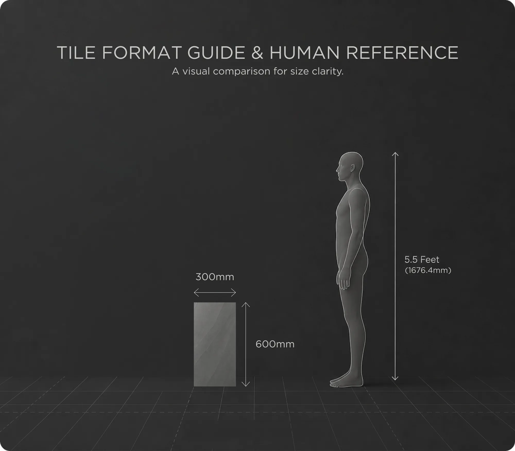 BORNE dimensions