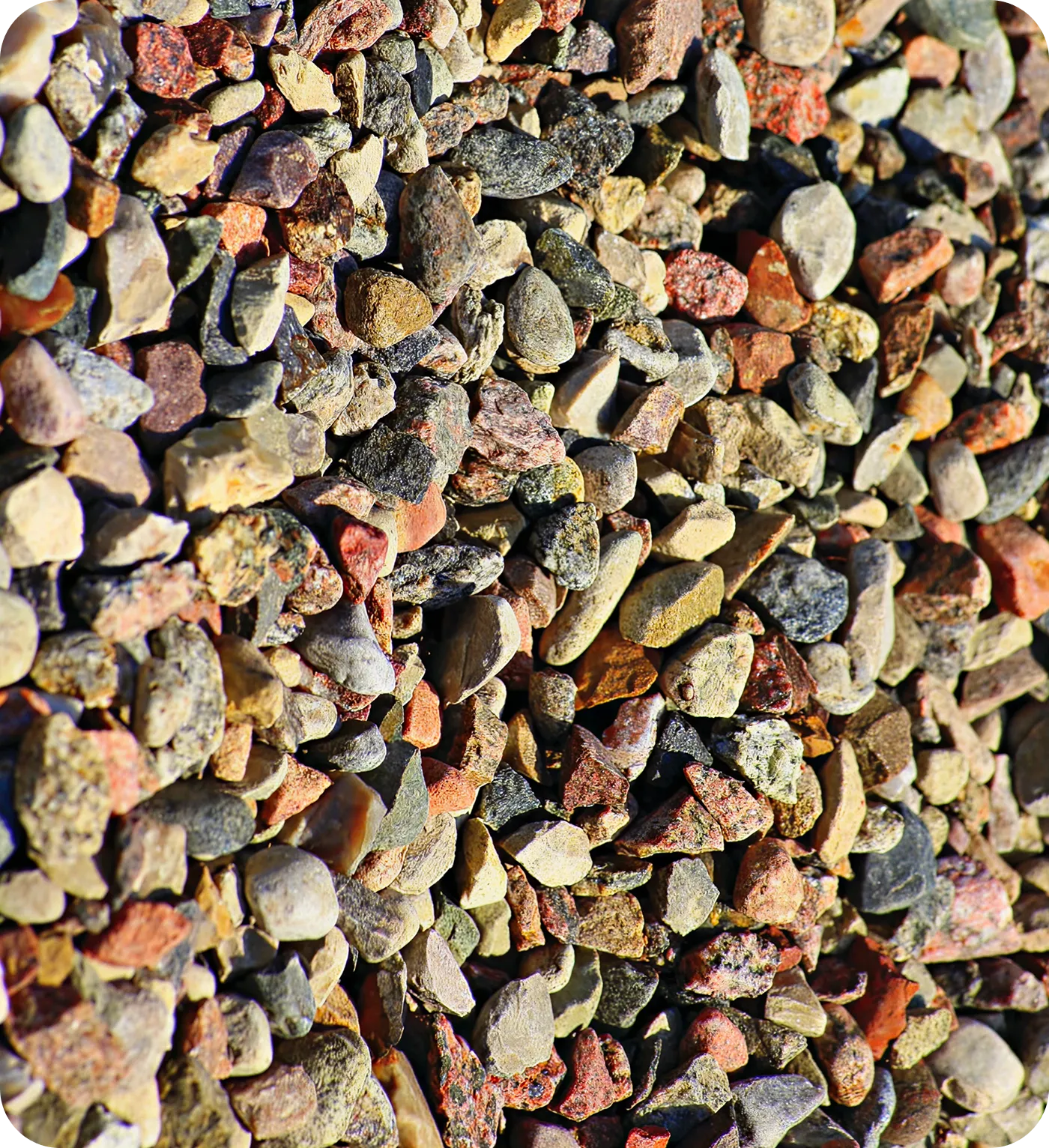 Grid Image 2